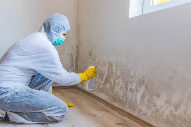 Mold Remediation specialist working in Wauconda