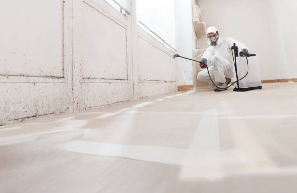 Black mold remediation team in Wauconda